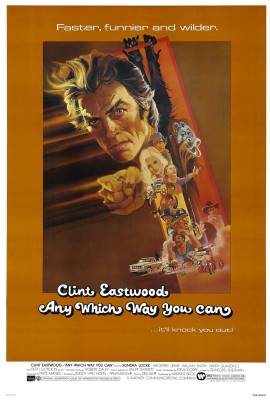 Any Which Way You Can