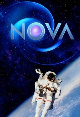 Nova
