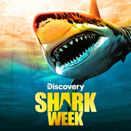 Shark Week