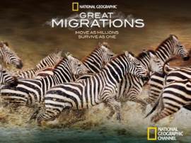 Great Migrations