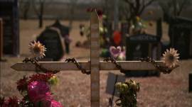 The Butcher of Kraaifontein