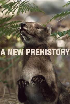 A New Prehistory