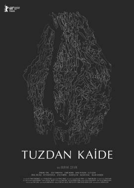 Tuzdan Kaide