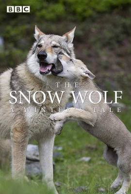 The Snow Wolf: A Winter
