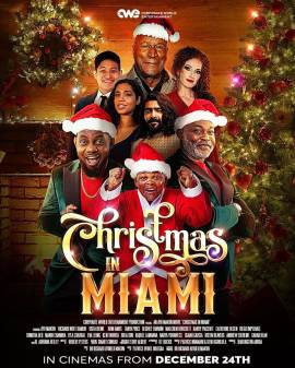 Christmas in Miami