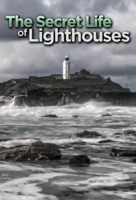 Secret Life of the Lighthouse