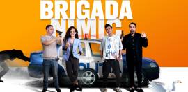 Brigada Nimic