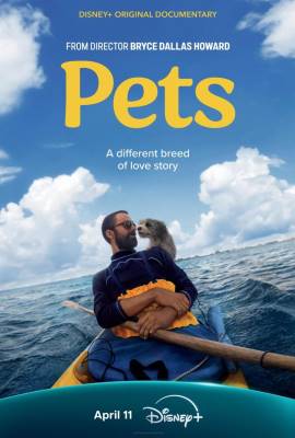 Pets