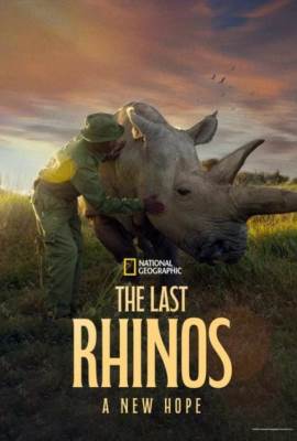The Last Rhinos: A New Hope