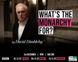 What's the Monarchy For?