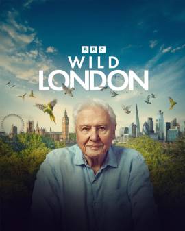 Wild London