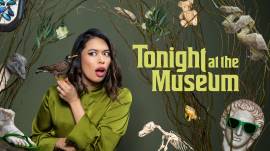 Tonight at the Museum