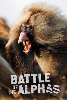 Battle Of The Alphas 