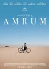 Amrum